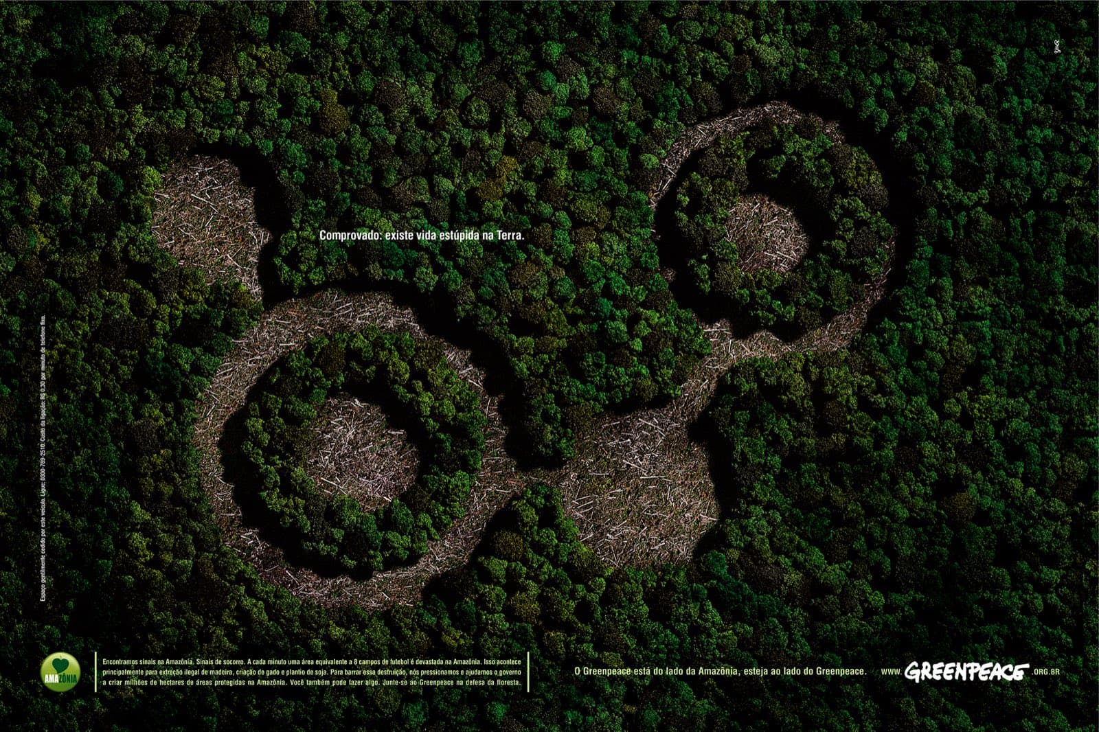 Sustentabilidade - Institucional - greenpeace.